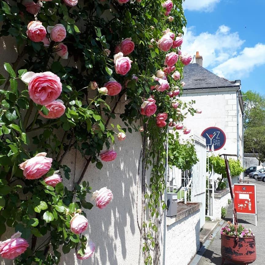 Logis Hotel Restaurant Relais De La Mothe Yzeures-sur-Creuse Exterior photo